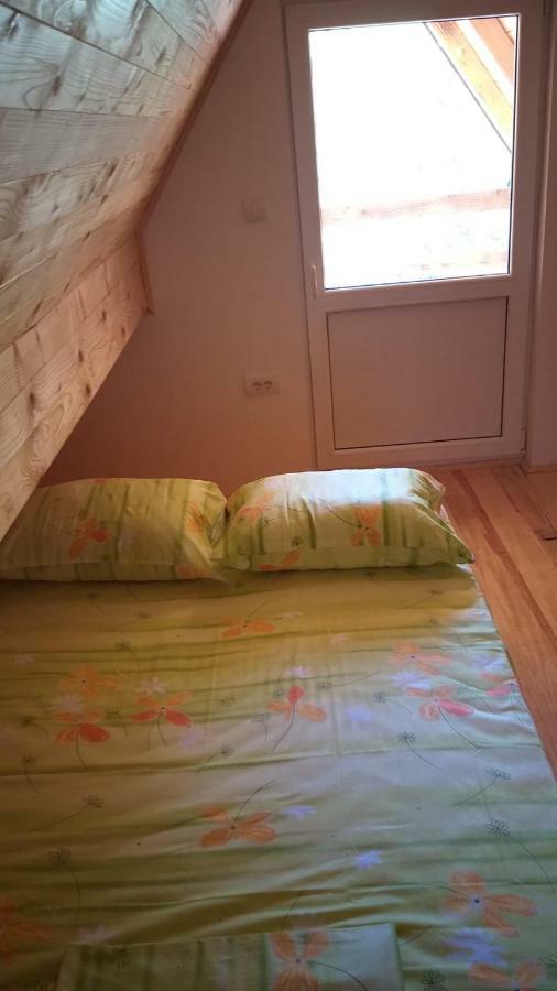Zaovine Vila Daniela מראה חיצוני תמונה